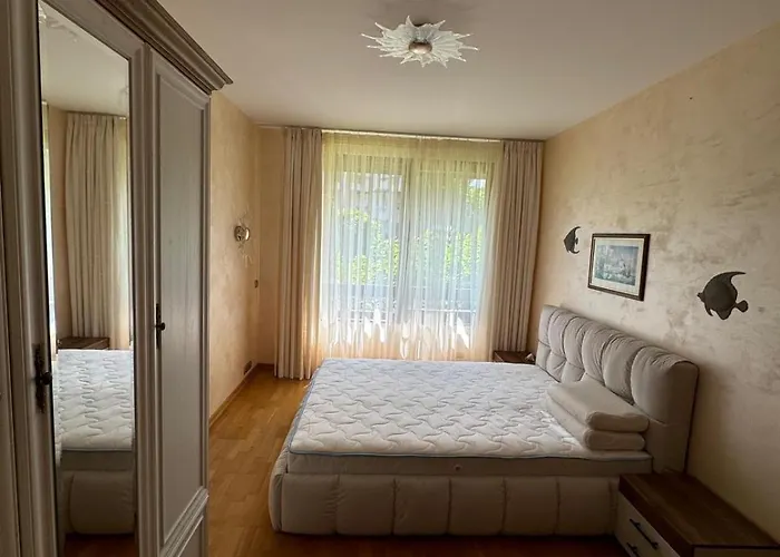 в лозенец, Oasis And *